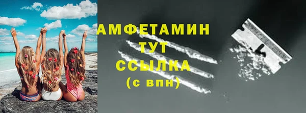 спиды Богородск