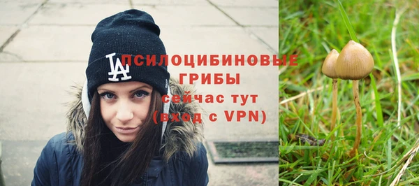 спайс Приозерск