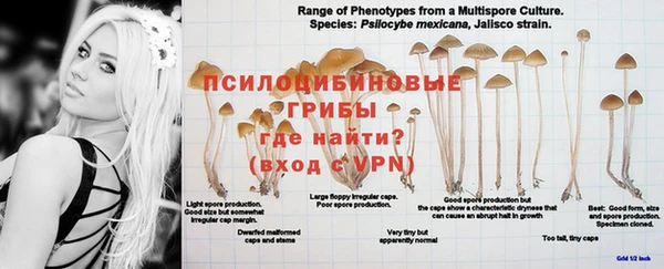 героин Белокуриха