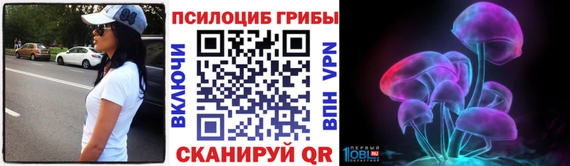 Галлюциногенные грибы мицелий  закладка  Козловка 